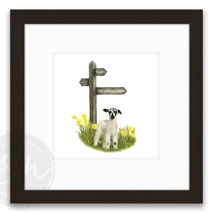 Spring Lamb