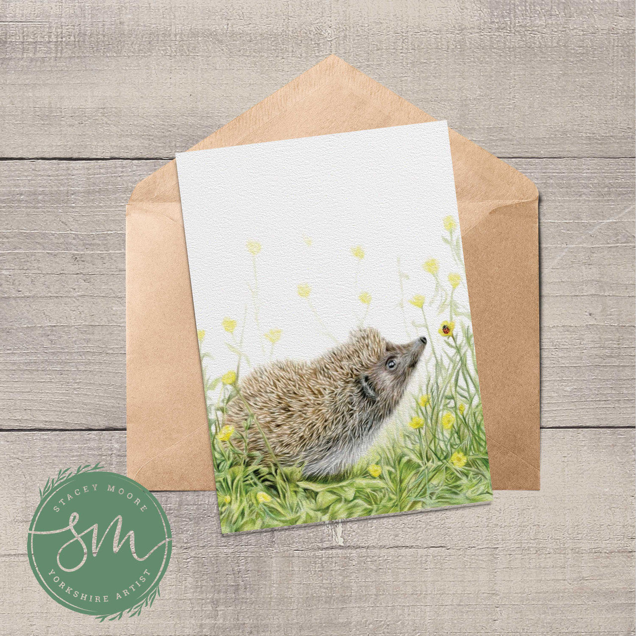 Hedgehog and Ladybird Greetings Card
