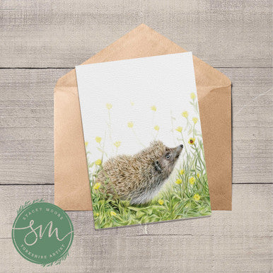 Hedgehog and Ladybird Greetings Card