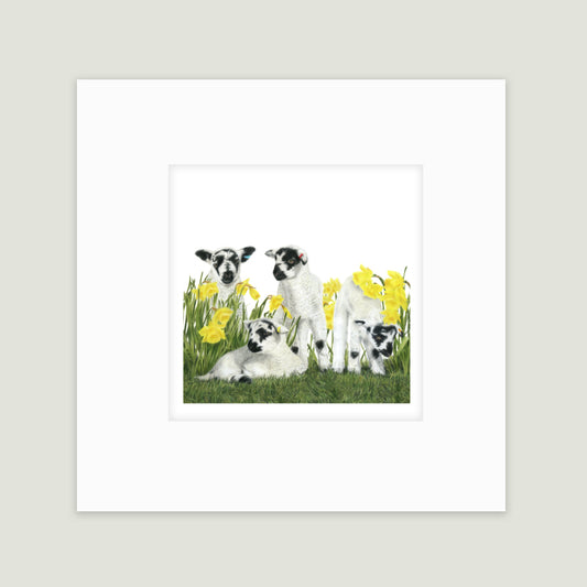 Spring has Sprung