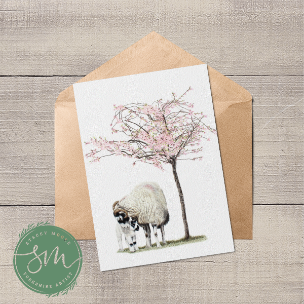 Swaledale Sheep and lamb under blossom tree greetings card