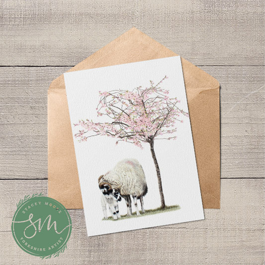 Swaledale Sheep and lamb under blossom tree greetings card