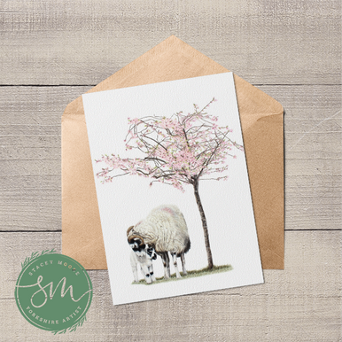 Swaledale Sheep and lamb under blossom tree greetings card