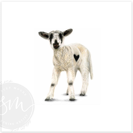 Love Ewe