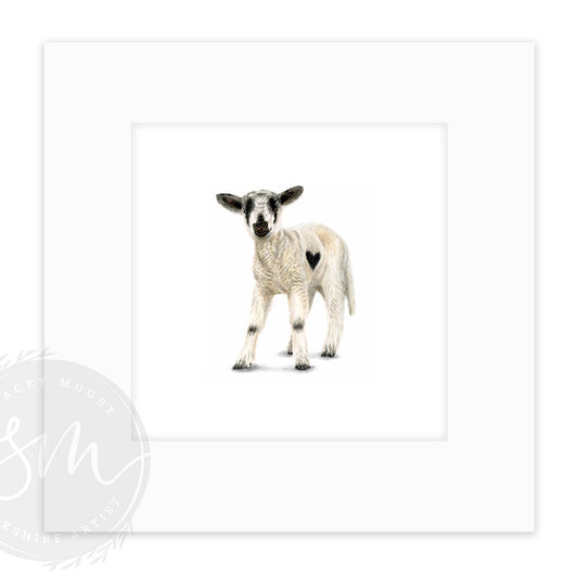 Love Ewe