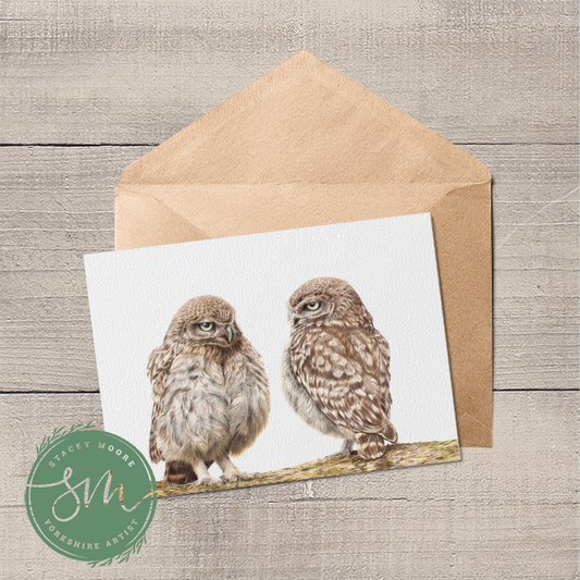 Little Owlets Greetings Card