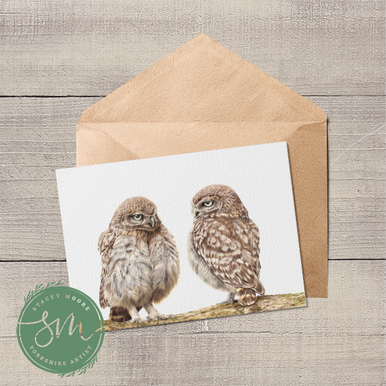 Little Owlets Greetings Card