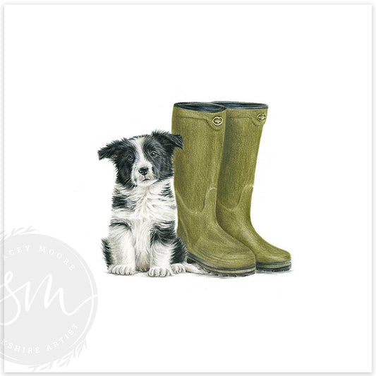 Little Paws, Big Adventures Original