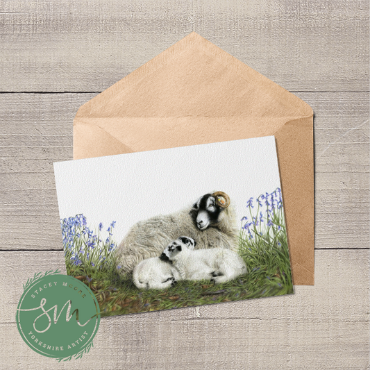 Swaledale Sheep and Lambs in Bluebells Greetings Card