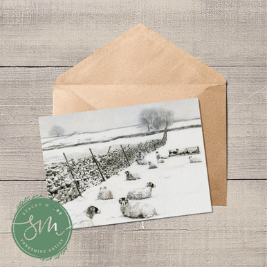 Swaledale Sheep in Snow Greetings Card