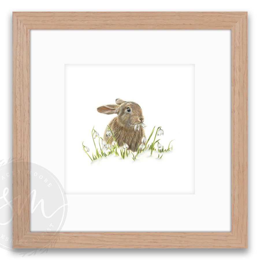 Snowdrop