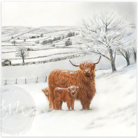 Snowy Dales Highland Retreat