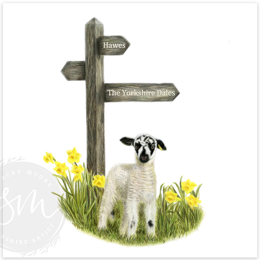 Spring Lamb