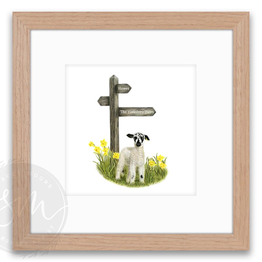 Spring Lamb