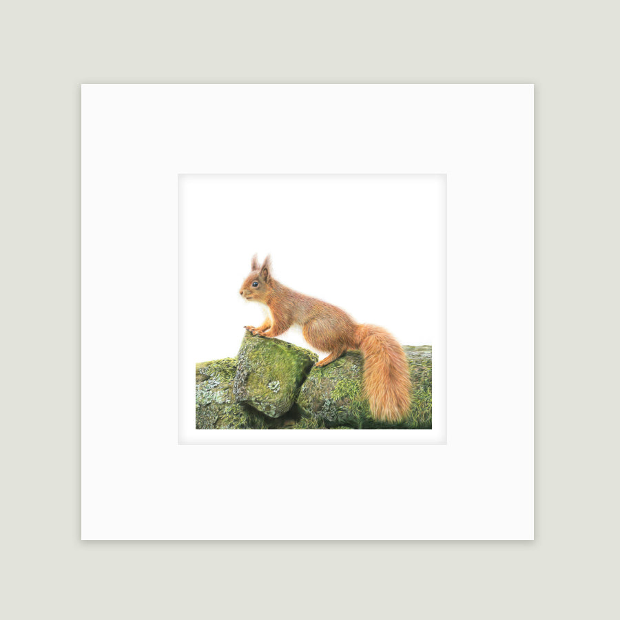 Yorkshire's red headed wonder.