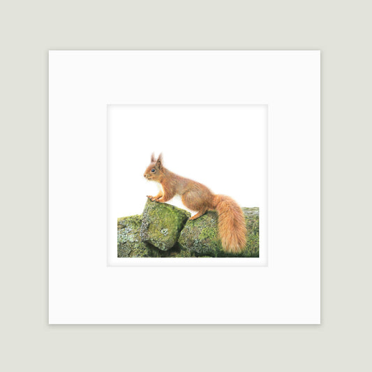 Yorkshire's red headed wonder.