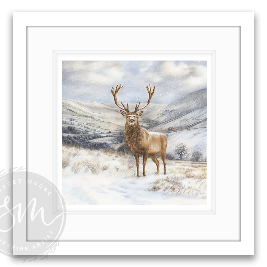 Winter Majesty