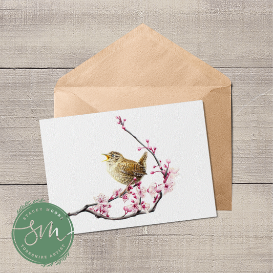 Wren on Blossom Branch Greetings Card