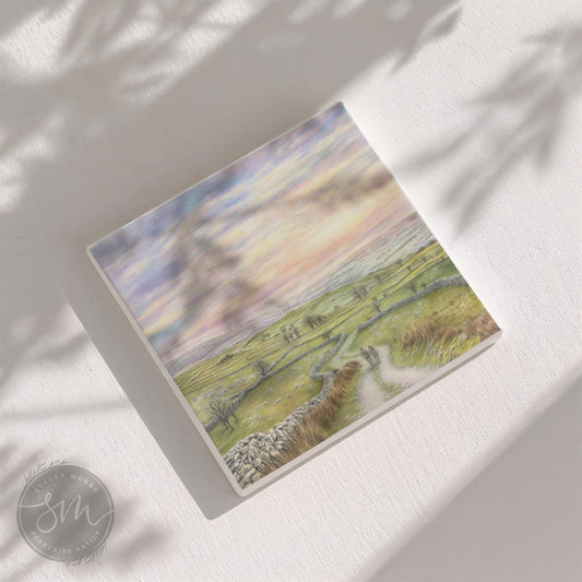 You, Me & The Dales Coaster